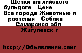 Щенки английского бульдога › Цена ­ 40 000 - Все города Животные и растения » Собаки   . Самарская обл.,Жигулевск г.